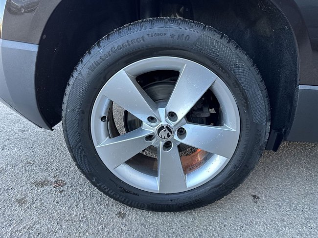 20199590.jpg