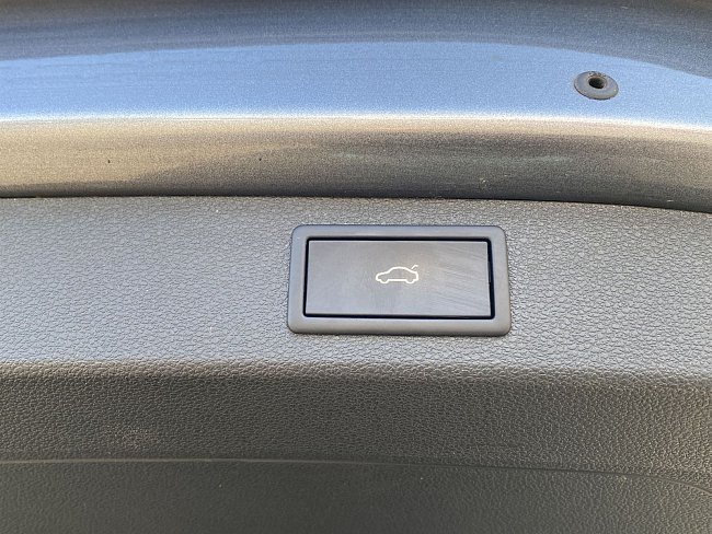 20199553.jpg