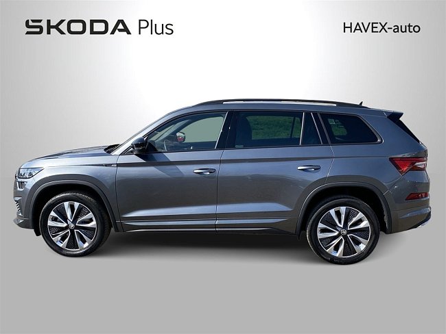 20199560.jpg