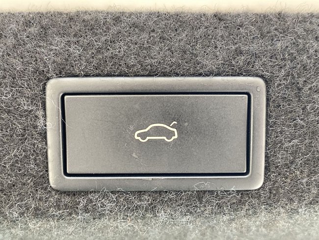 20199698.jpg