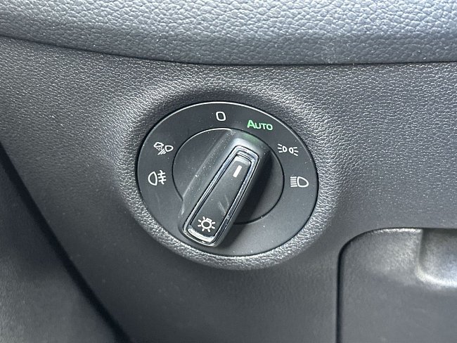 20199782.jpg