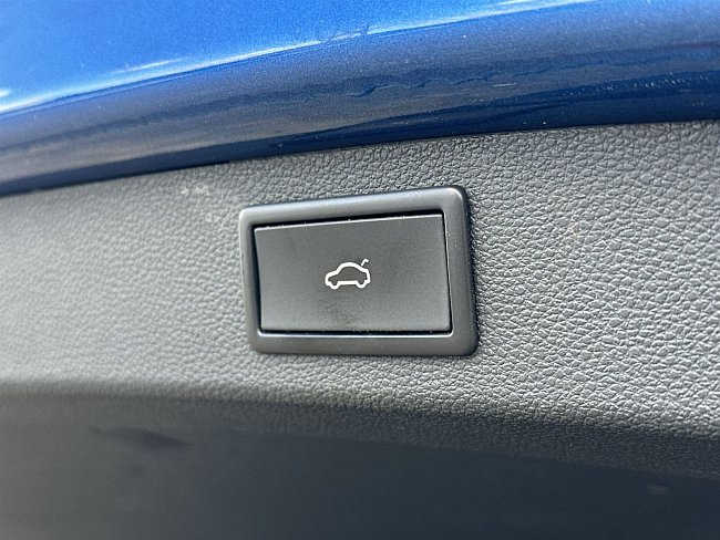20199796.jpg