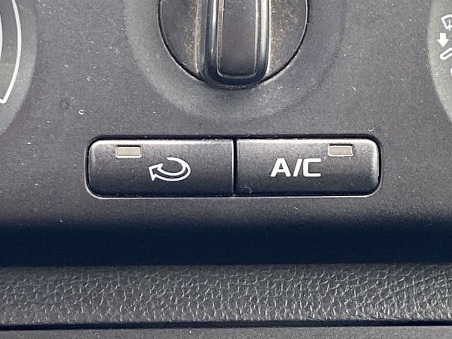 20199766.jpg